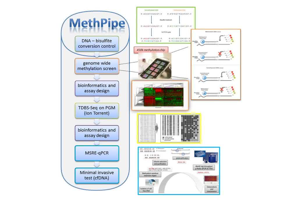 Bild 2: „Methpipe“ nennen die Autoren den Workflow und die dazugehörigen Methoden, die sie im Laufe der Jahre erarbeitet und etabliert haben, um von genomweiter Discovery zu minimal-invasiven DNA-Methylierungsassays für die Diagnostik aus zellfreier DNA zu gelangen. Bild 2: „Methpipe“ nennen die Autoren den Workflow und die dazugehörigen Methoden, die sie im Laufe der Jahre erarbeitet und etabliert haben, um von genomweiter Discovery zu minimal-invasiven DNA-Methylierungsassays für die Diagnostik aus zellfreier DNA zu gelangen.
