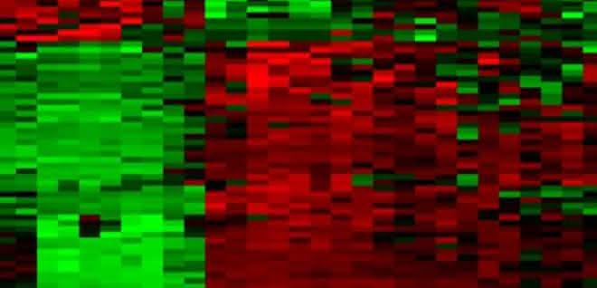 Liquid Biopsy: DNA-Methylierungsanalyse  auf dem Vormarsch