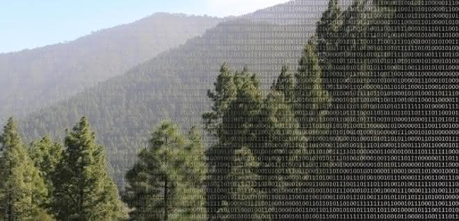 Big Data spielt auch bei der Erforschung von Biodiversität eine immer größere Rolle. Göttinger Forscher zeigen nun wie dieses Potential besser genutzt werden kann. Wald und binäre Zahlen