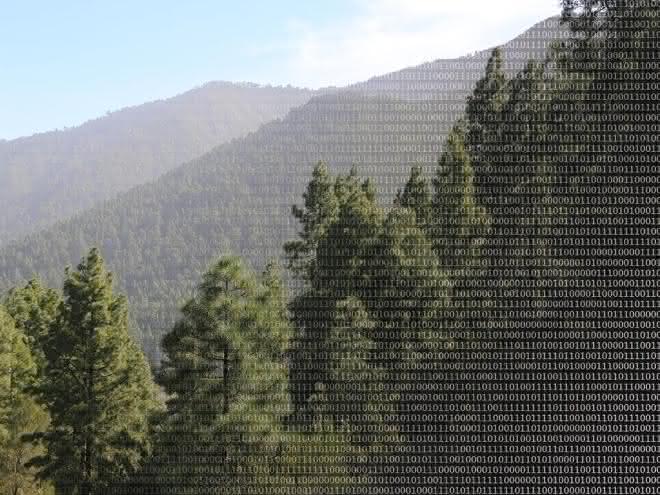 Big Data spielt auch bei der Erforschung von Biodiversität eine immer größere Rolle. Göttinger Forscher zeigen nun wie dieses Potential besser genutzt werden kann. Wald und binäre Zahlen
