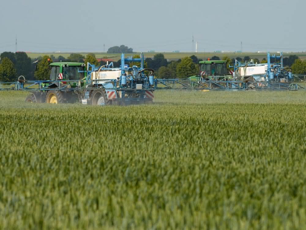 Appell an EFSA und Europäische Kommission: Wissenschaftler fordern Überarbeitung des Zulassungsverfahrens für Pestizide Appell an EFSA und Europäische Kommission: Wissenschaftler fordern Überarbeitung des Zulassungsverfahrens für Pestizide