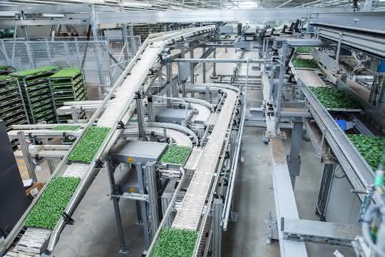 Pflanzenlogistik: Automatisierung für Garten und Balkon