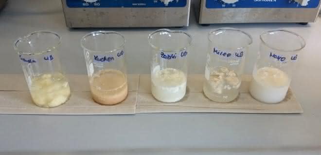 Bild 2a: Ergebnis der Probenvorbereitung im Ultraschallbad 15 min, 30 °C (oben); von links nach rechts: Käse (Gouda), Kuchen, Tzaziki, Frischkäse, Mayonnaise.