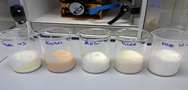 Bild 2b: Ergebnis der Behandlung mit dem Ultraschallhomogenisator (45 s bis 2 min); von links nach rechts: Käse (Gouda), Kuchen, Tzaziki, Frischkäse, Mayonnaise.