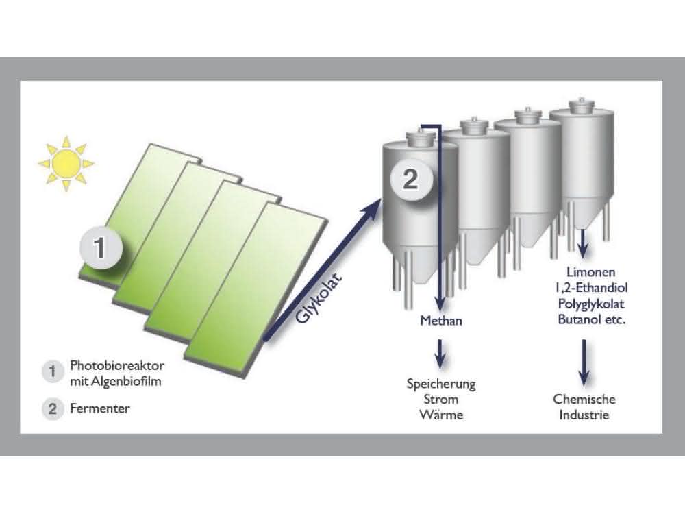 Zukünftiges Design der Neuen Grünen Chemie.