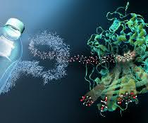 Das Enzym MHETase ist ein riesiges komplex gefaltetes Molekül. MHET-Moleküle aus PET-Kunststoff docken an einer aktiven Stelle im Inneren der MHETase an und werden dort aufgespalten. Das Enzym MHETase ist ein riesiges komplex gefaltetes Molekül. MHET-Moleküle aus PET-Kunststoff docken an einer aktiven Stelle im Inneren der MHETase an und werden dort aufgespalten.