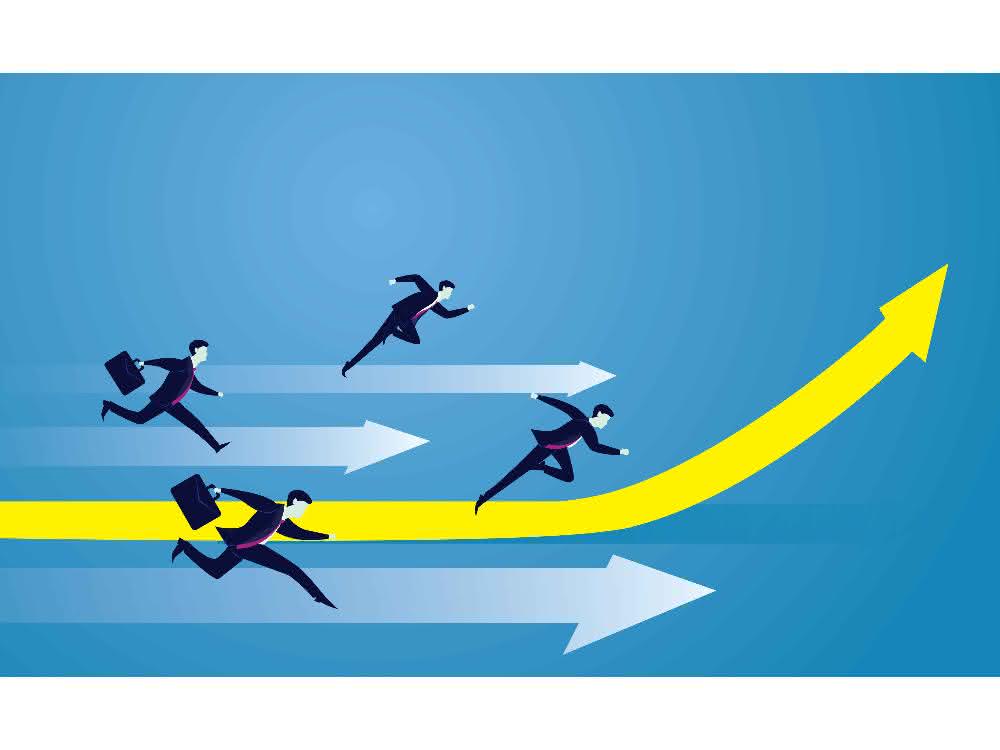 Digitization in the German SME sector