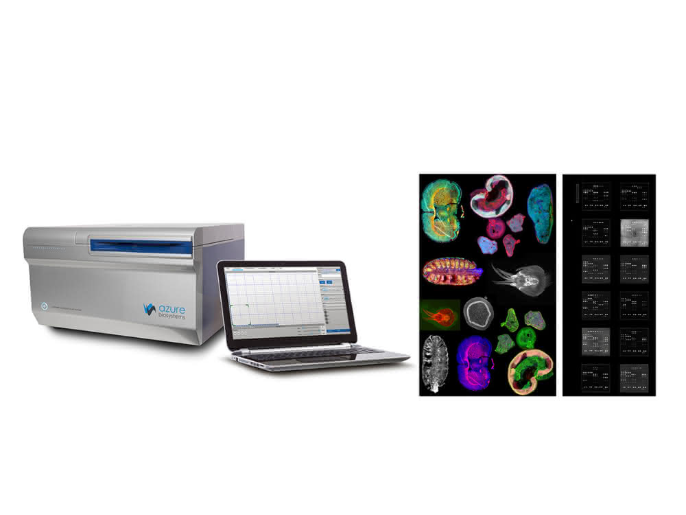 Der Sapphire, ein Biomolecular-Imager von Biozym Scientific