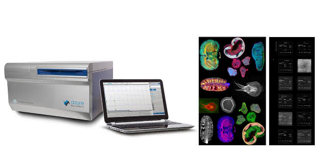 Der Sapphire, ein Biomolecular-Imager von Biozym Scientific