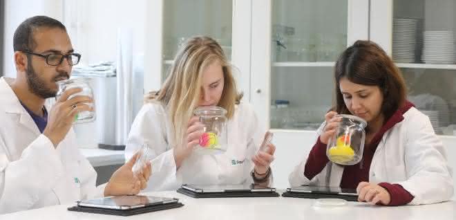 Das Sensorikpanel im Fraunhofer IVV: Das Wissenschaftler-Team beschreibt und bewertet die Gerüche von Spielwaren. Das Sensorikpanel im Fraunhofer IVV: Das Wissenschaftler-Team beschreibt und bewertet die Gerüche von Spielwaren.