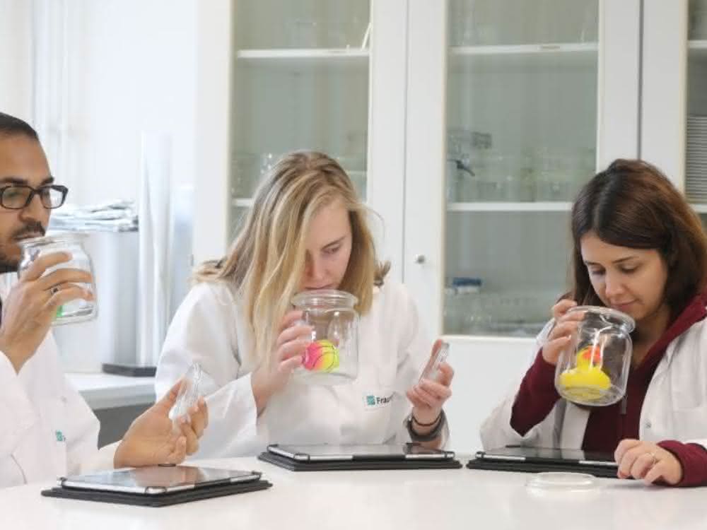 Das Sensorikpanel im Fraunhofer IVV: Das Wissenschaftler-Team beschreibt und bewertet die Gerüche von Spielwaren.