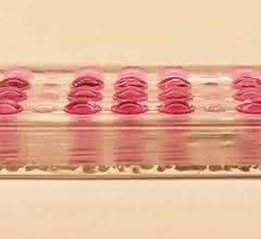 Ein Chip mit vier Reihen des neuen Embryotoxizitätstests. Ein Chip mit vier Reihen des neuen Embryotoxizitätstests.