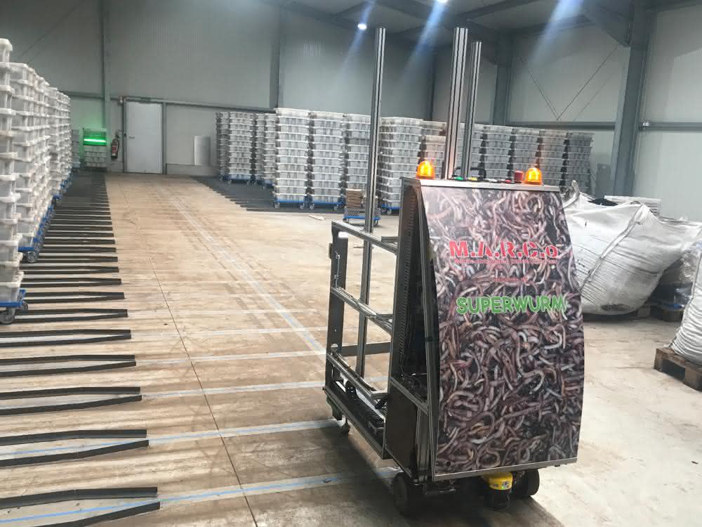 Igus superworm FTF