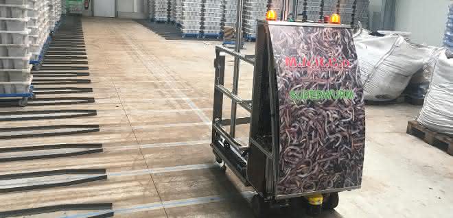 Igus superworm FTF