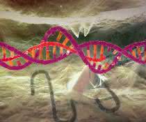 CRISPR-Cas9 hat die Genom-Editierung revolutioniert.