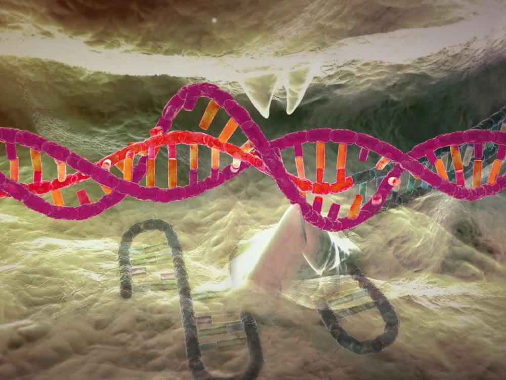 CRISPR-Cas9 hat die Genom-Editierung revolutioniert. CRISPR-Cas9 hat die Genom-Editierung revolutioniert.