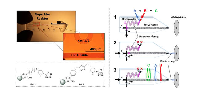 Bild 2: Miniaturisiertes Labor auf einem Chip (oben im Foto) mit integrierter ESI-Emitterspitze und zwei gepackten Säulen (gepacktes Reaktorbett und 35 mm HPLC-Säule). Rechts: Die Funktionsweise der Kombination aus Mikrosynthese und HPLC/MS-Analyse. Bild 2: Miniaturisiertes Labor auf einem Chip (oben im Foto) mit integrierter ESI-Emitterspitze und zwei gepackten Säulen (gepacktes Reaktorbett und 35 mm HPLC-Säule). Rechts: Die Funktionsweise der Kombination aus Mikrosynthese und HPLC/MS-Analyse.