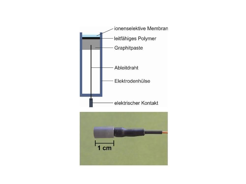 Bild 1: Nitratselektive All-Solid-State-Elektrode auf Basis von Graphitpaste: Schematischer Aufbau und Foto.