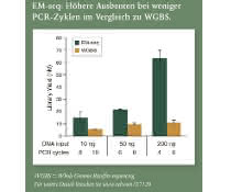 Balkendiagramm
