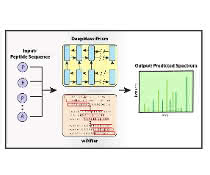 DeepMass:Prism, ein Deep-Learning-Ansatz mit bidirektionaler, rekurrenter neuronaler Netzwerkarchitektur (RNN) zur Vorhersage von Fragmentintensitäten. DeepMass:Prism, ein Deep-Learning-Ansatz mit bidirektionaler, rekurrenter neuronaler Netzwerkarchitektur (RNN) zur Vorhersage von Fragmentintensitäten.