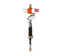 Electric chain hoist