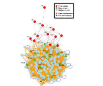 Mit Bioinformatik auf der Suche nach wirksamen Arzneimitteln gegen Grippe