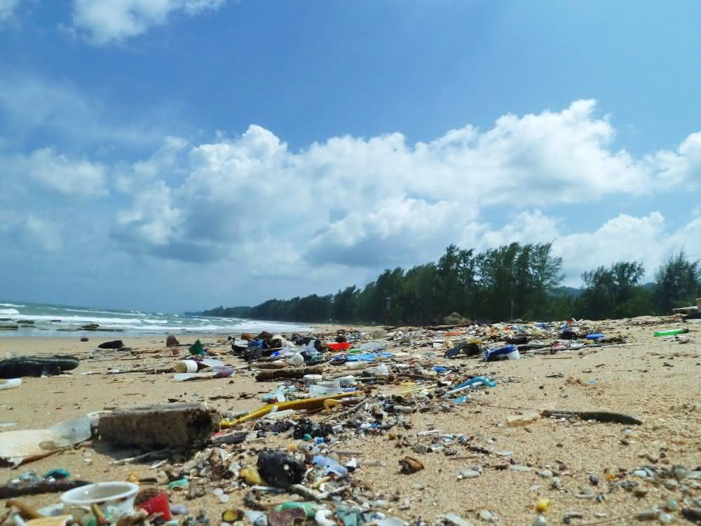 Immer mehr Plastikmüll sammelt sich in unseren Meeren an. Unter anderem eine Gefahr für Meerestiere. Immer mehr Plastikmüll sammelt sich in unseren Meeren an. Unter anderem eine Gefahr für Meerestiere.