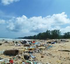 Immer mehr Plastikmüll sammelt sich in unseren Meeren an. Unter anderem eine Gefahr für Meerestiere.