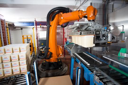 Trapo_Wernsing Roboter-Lagen-Palettierer: Wie der Kartoffelsalat zur Grillparty kommt