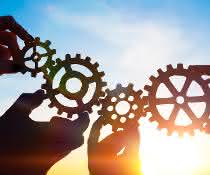 Collaboration in companies - learning from cobots