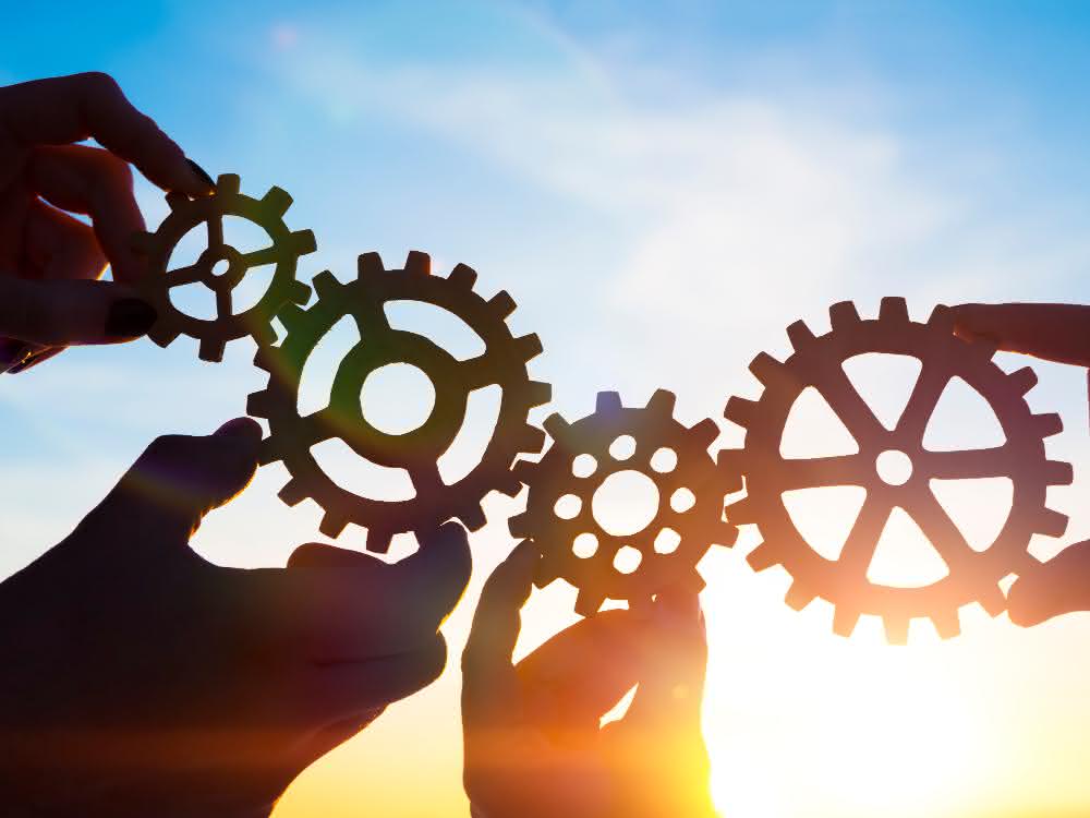 Collaboration in companies - learning from cobots