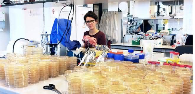 Tanita Wein untersuchte in ihrer Promotionsarbeit am Beispiel des Bakteriums Escherichia coli, wie sich Plasmide in Abwesenheit eines Selektionsdrucks entwickeln.