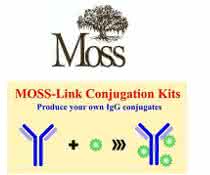 Eigene IgG-Konjugate produzieren: Moss-Link™ Konjugations- und Labeling Kits