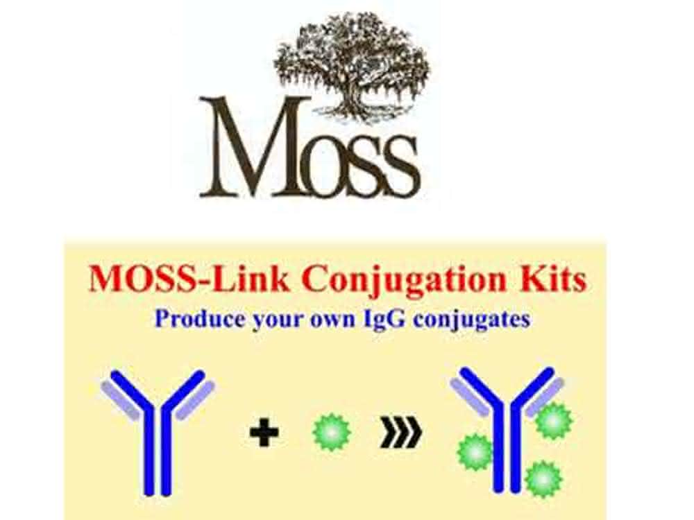 Eigene IgG-Konjugate produzieren: Moss-Link™ Konjugations- und Labeling Kits