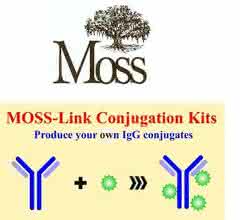 Eigene IgG-Konjugate produzieren: Moss-Link™ Konjugations- und Labeling Kits Eigene IgG-Konjugate produzieren: Moss-Link™ Konjugations- und Labeling Kits