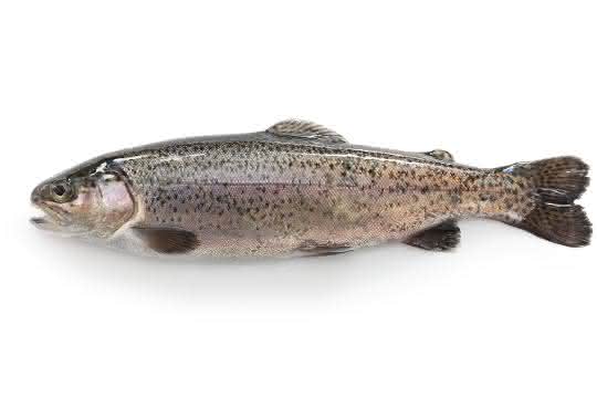 Um einen Fisch als Schwarzwaldforelle in den Verkehr zu bringen, muss dieser nach den in den entsprechenden EU-Verordnungen niedergelegten Regeln erzeugt werden.