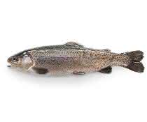 Um einen Fisch als Schwarzwaldforelle in den Verkehr zu bringen, muss dieser nach den in den entsprechenden EU-Verordnungen niedergelegten Regeln erzeugt werden.