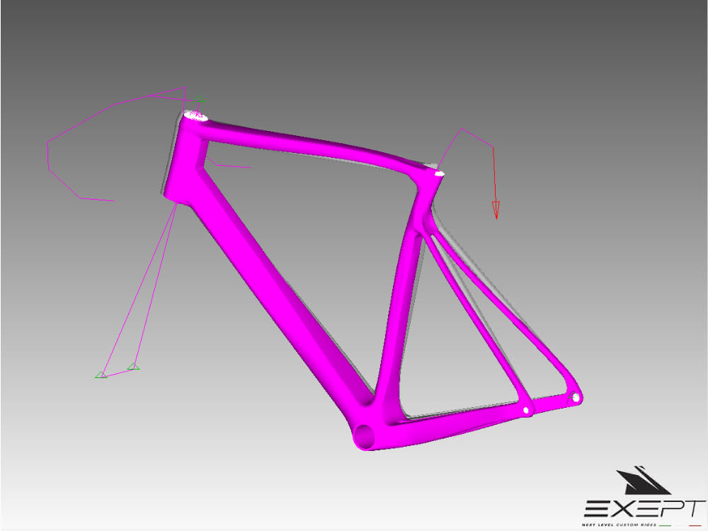 Simulation