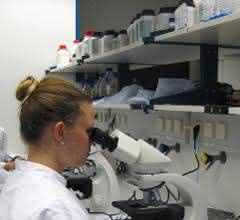 Labormitarbeiterin am Mikroskop