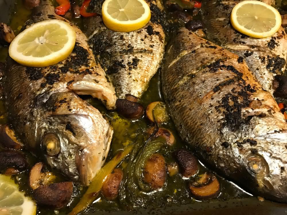 Per genetischem Fingerabdruck können jetzt kommerziell wichtige Fische auf Gattungs- oder Speziesebene identifiziert werden. Gebackene Doraden