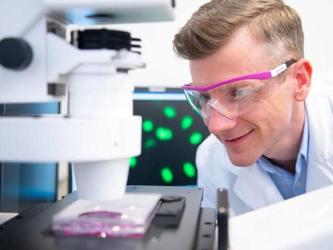 Alexander König, Leiter des Evonik-Projekthauses Tissue Engineering, im Labor in Singapur. Alexander König, Leiter des Evonik-Projekthauses Tissue Engineering, im Labor in Singapur.