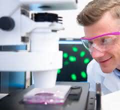 Alexander König, Leiter des Evonik-Projekthauses Tissue Engineering, im Labor in Singapur. Alexander König, Leiter des Evonik-Projekthauses Tissue Engineering, im Labor in Singapur.