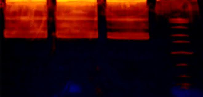 Isolierte Nukleinsäuren werden in einem Gel entsprechend ihrer Größe aufgetrennt und durch Chemikalien und UV-Licht sichtbar gemacht. Isolierte Nukleinsäuren werden in einem Gel entsprechend ihrer Größe aufgetrennt und durch Chemikalien und UV-Licht sichtbar gemacht.