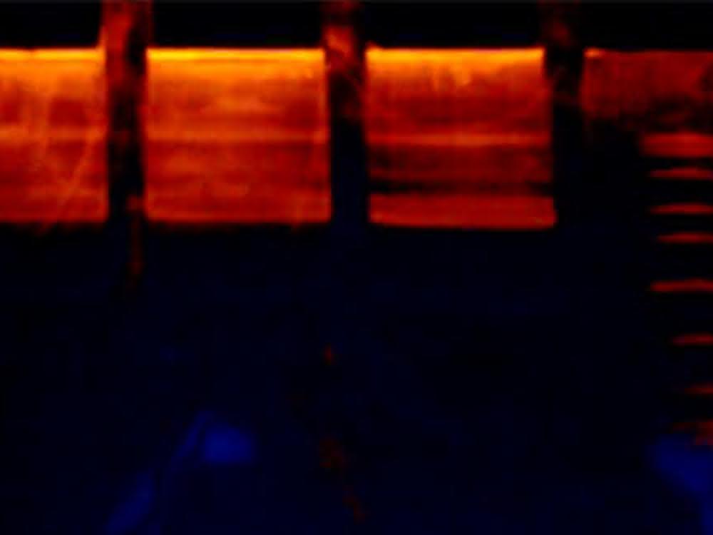 Isolierte Nukleinsäuren werden in einem Gel entsprechend ihrer Größe aufgetrennt und durch Chemikalien und UV-Licht sichtbar gemacht. Isolierte Nukleinsäuren werden in einem Gel entsprechend ihrer Größe aufgetrennt und durch Chemikalien und UV-Licht sichtbar gemacht.