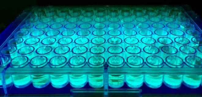 Screening einer Vielzahl an Substraten in Gegenwart eines Photokatalysators, mit dem chemische Reaktionen durch Licht ausgelöst und gesteuert werden. Screening einer Vielzahl an Substraten in Gegenwart eines Photokatalysators, mit dem chemische Reaktionen durch Licht ausgelöst und gesteuert werden.