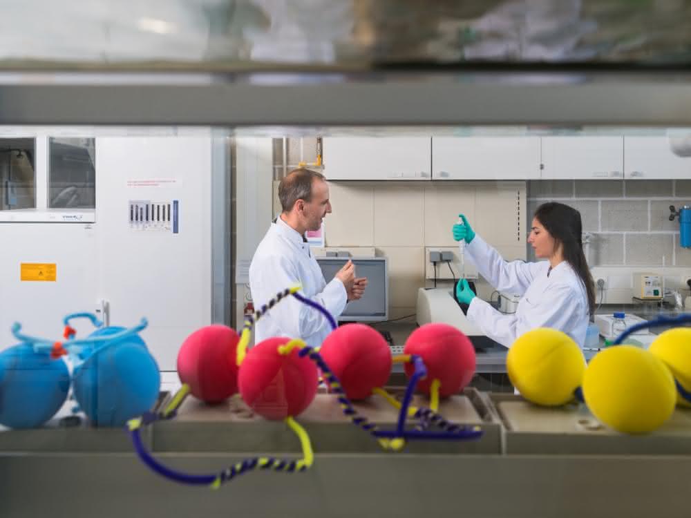 Mit Modellen aus farbigen Bällen und Pfeifenreinigern veranschaulichen Prof. Oliver Lieleg (l.) und Doktorandin Ceren Kimna, wie DNA-Stücke Nanopartikel miteinander verbinden können.