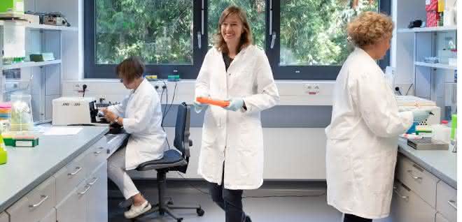 Technische Assistentin Meike Stotz-Reimers, Professorin Ulrike Nuber und technische Assistentin Dipl. Biol. Michaela Becker-Röck (v.li.n.re.). Technische Assistentin Meike Stotz-Reimers, Professorin Ulrike Nuber und technische Assistentin Dipl. Biol. Michaela Becker-Röck (v.li.n.re.).