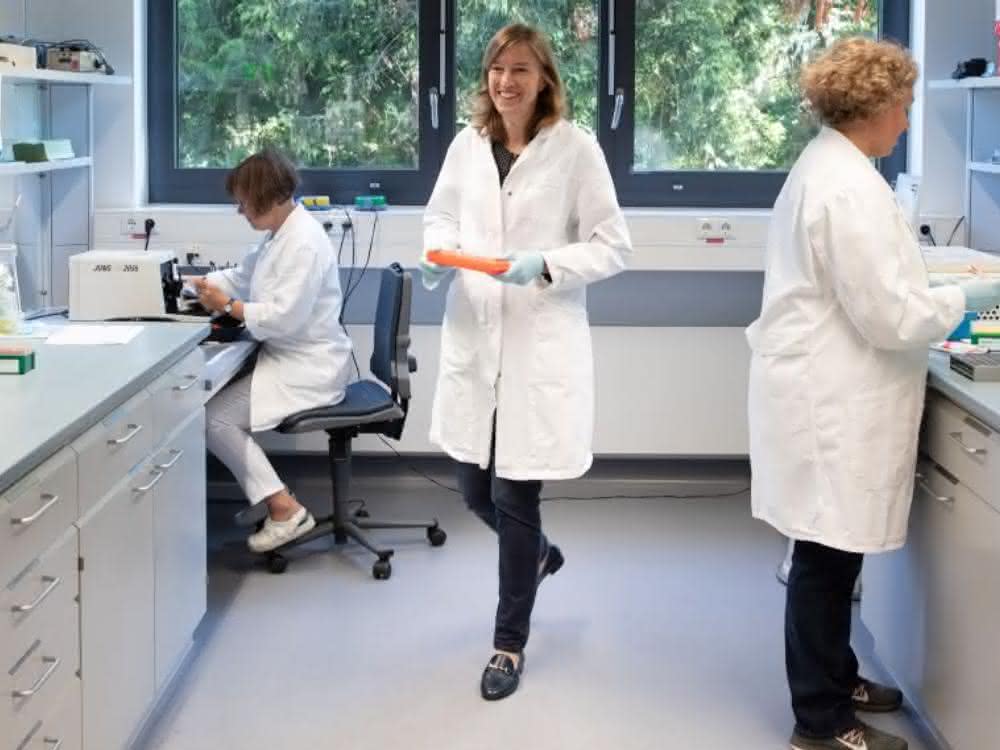 Technische Assistentin Meike Stotz-Reimers, Professorin Ulrike Nuber und technische Assistentin Dipl. Biol. Michaela Becker-Röck (v.li.n.re.). Technische Assistentin Meike Stotz-Reimers, Professorin Ulrike Nuber und technische Assistentin Dipl. Biol. Michaela Becker-Röck (v.li.n.re.).