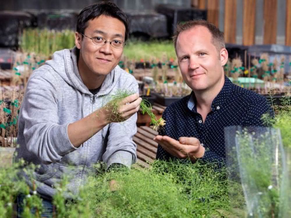 Takehiko Ogura, Wolfgang Busch