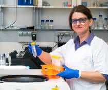 Dr. Peggy Stock bei ihrer Arbeit im Labor Dr. Peggy Stock bei ihrer Arbeit im Labor